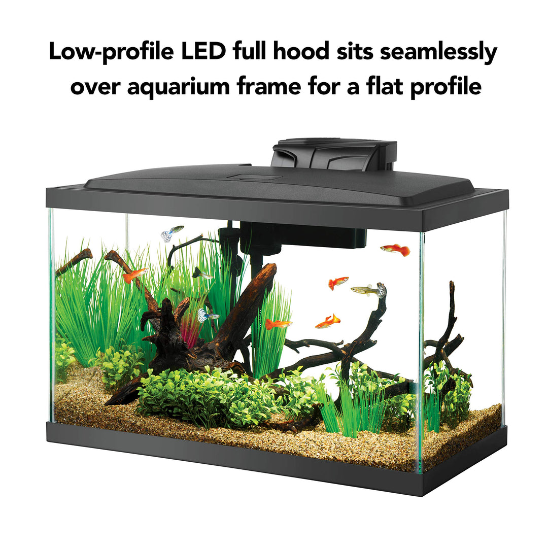 Aquarium Fish Tank Starter Kit with LED Lighting 10 Gallon Fish Tank