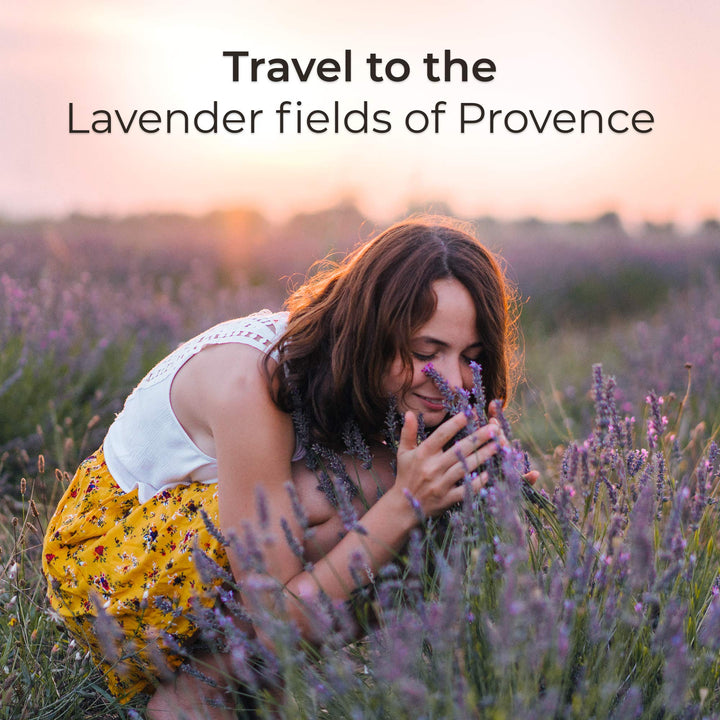 Botanica Plug in Scented Oil Refill, 2 Refills, French Lavender and Honey Blossom, Air Freshener, Essential Oils