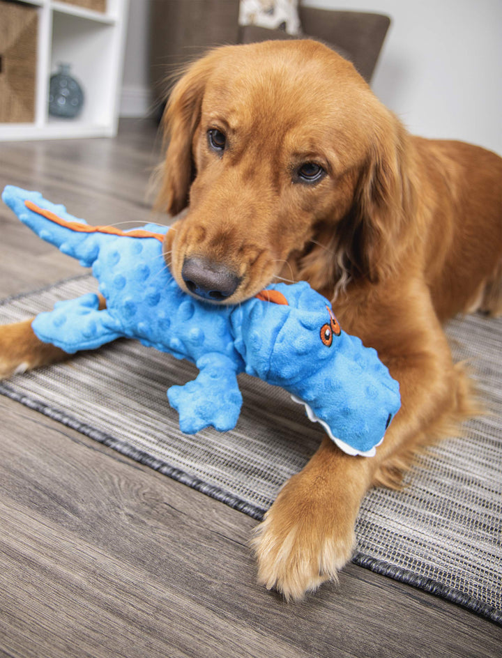 Gators With Chew Guard Technology Tough Plush Dog Toy, Blue, Large (774019)