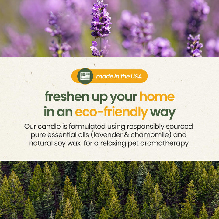 Gerrard Larriett: De-Stress Lavender & Chamomile Scented Candles for Home Decor and Pet Odor - Aromatherapy Stress Relief Soy Wax Candles - Pet Odor Eliminator for Home - Pet Friendly Candles