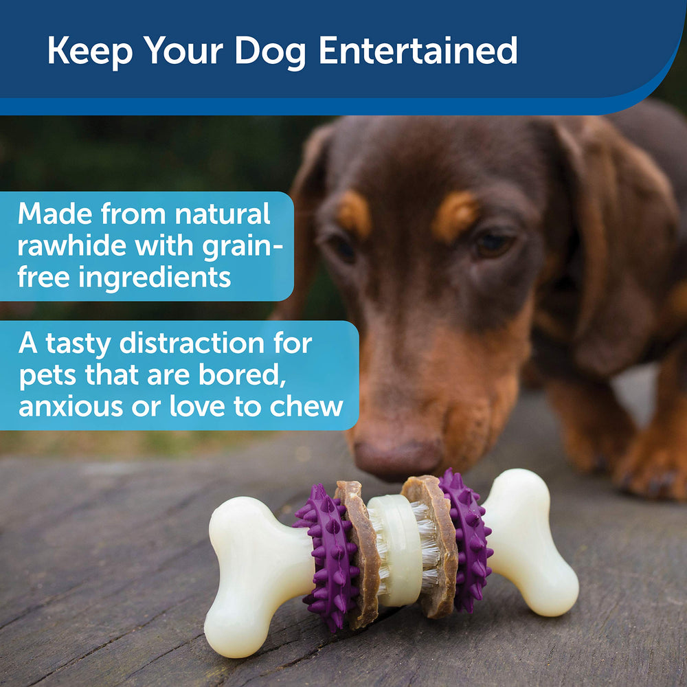 Busy Buddy Bristle Bone - Treat-Holding Toy for Dogs - Treat Rings Included - Treats Thoroughly Mixed During Bake to Prevent Choking - Rigorously Tested Ingredients - Purple, Small
