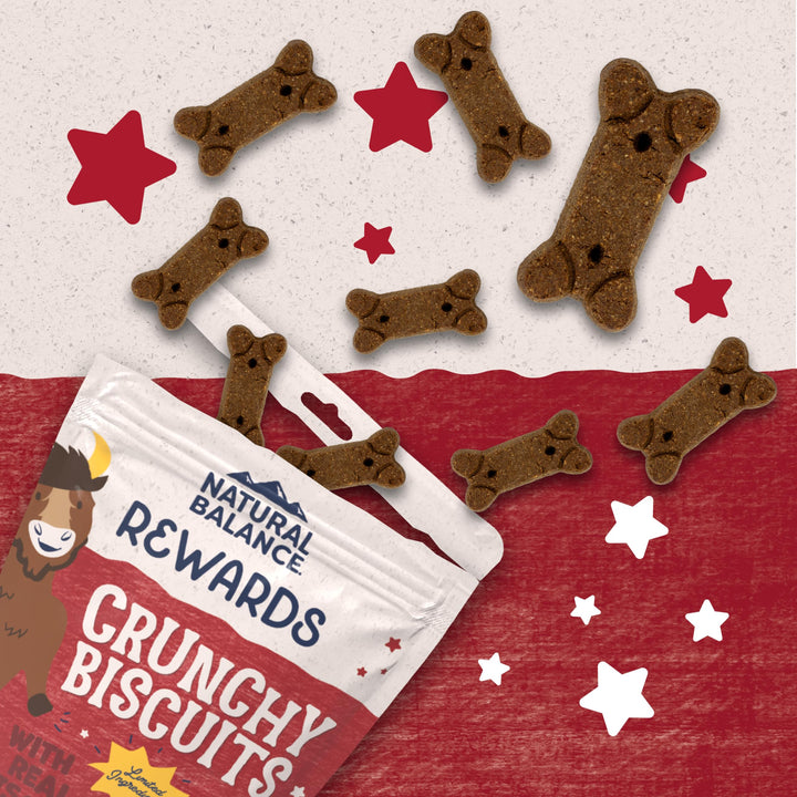 Limited Ingredient Rewards Crunchy Biscuits, Grain-Free Dog Treats for Adult Dogs of All Breeds, Sweet Potato & Bison Recipe, 14 Ounce (Pack of 1)