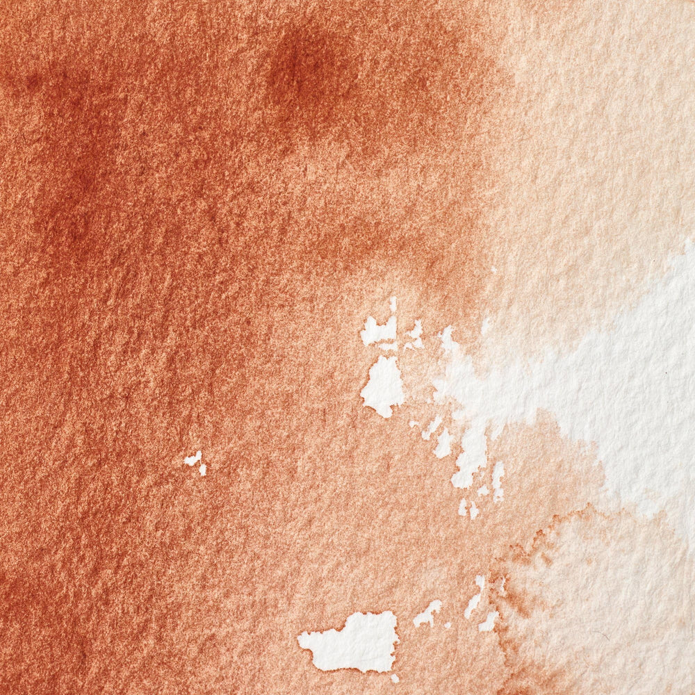 Professional Water Colour Paint, 0.47-oz Tube, Burnt Sienna