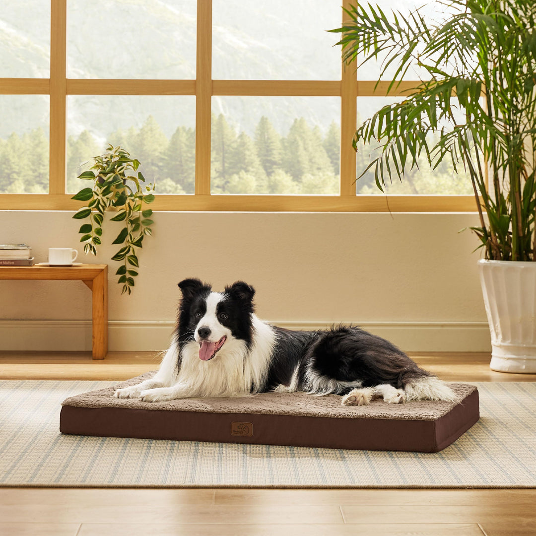 Dog Bed for Large Dogs - Orthopedic Waterproof Puppy Beds with Removable Washable Cover, Egg Crate Foam Pet Mat, Suitable for Pet Up to 65 lbs