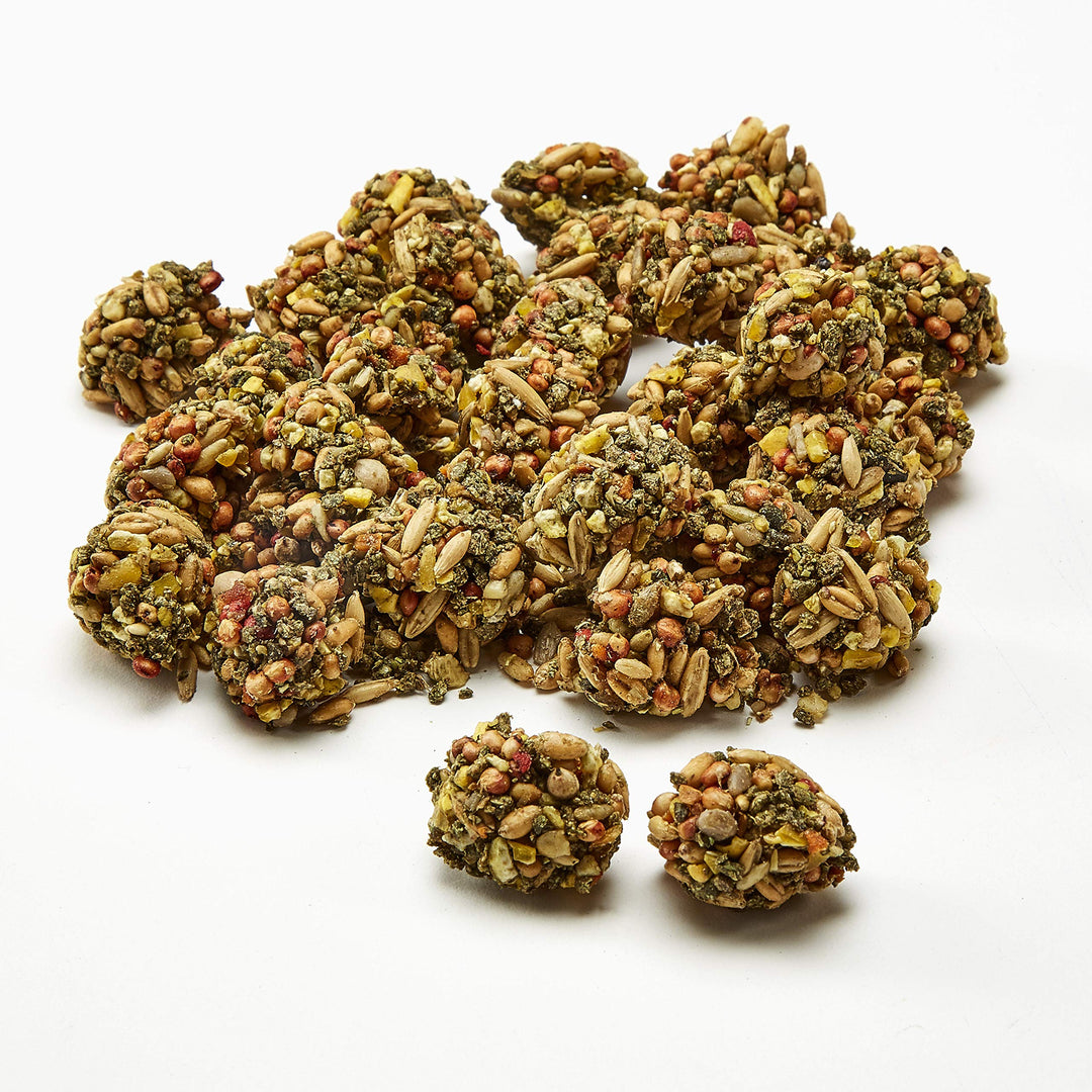 Healthy Bits Treat Rabbit and Guinea Pig 4.5 oz