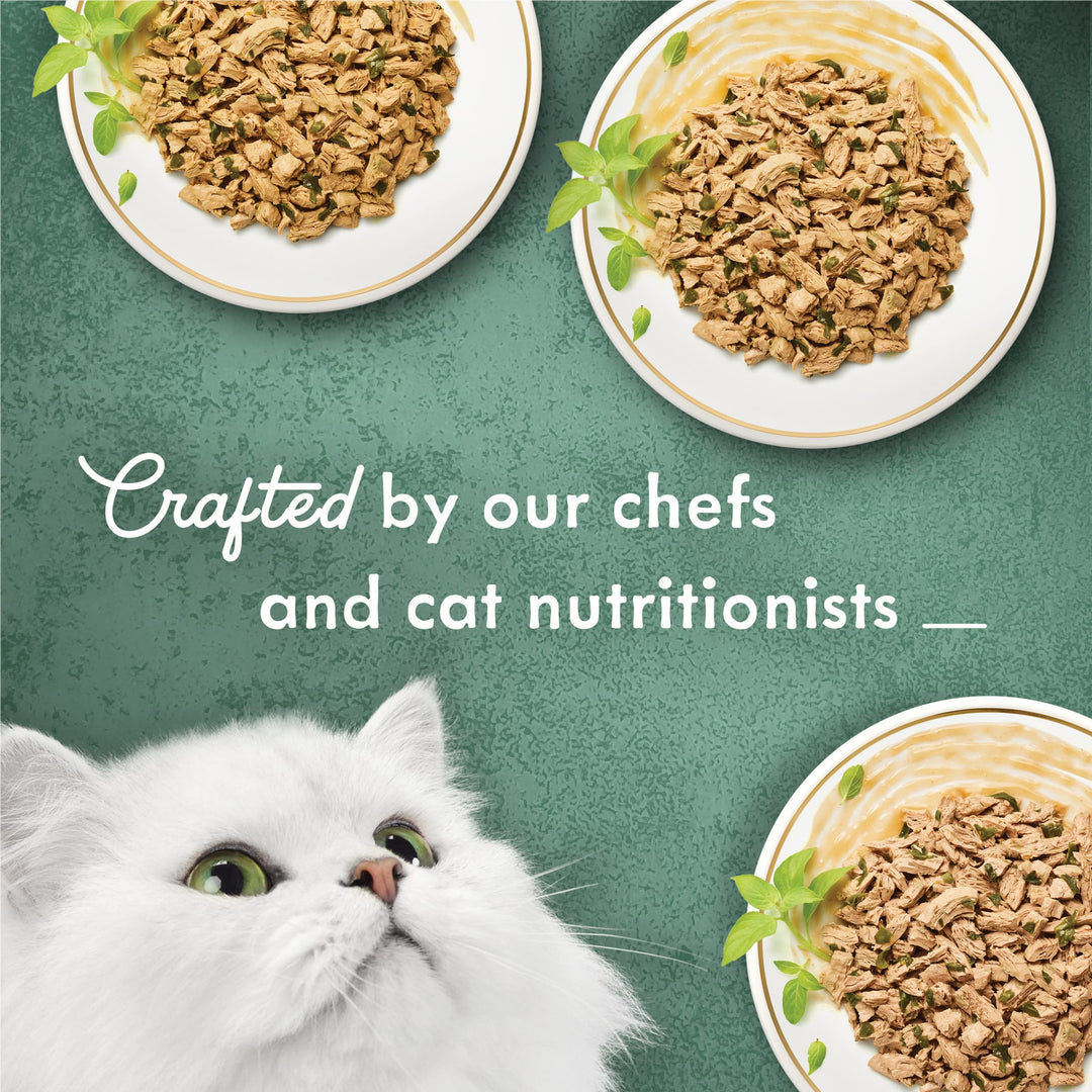 Wet Cat Food Variety Pack, Medleys Shredded Fare Collection - (2 Packs of 12) 3 oz. Cans