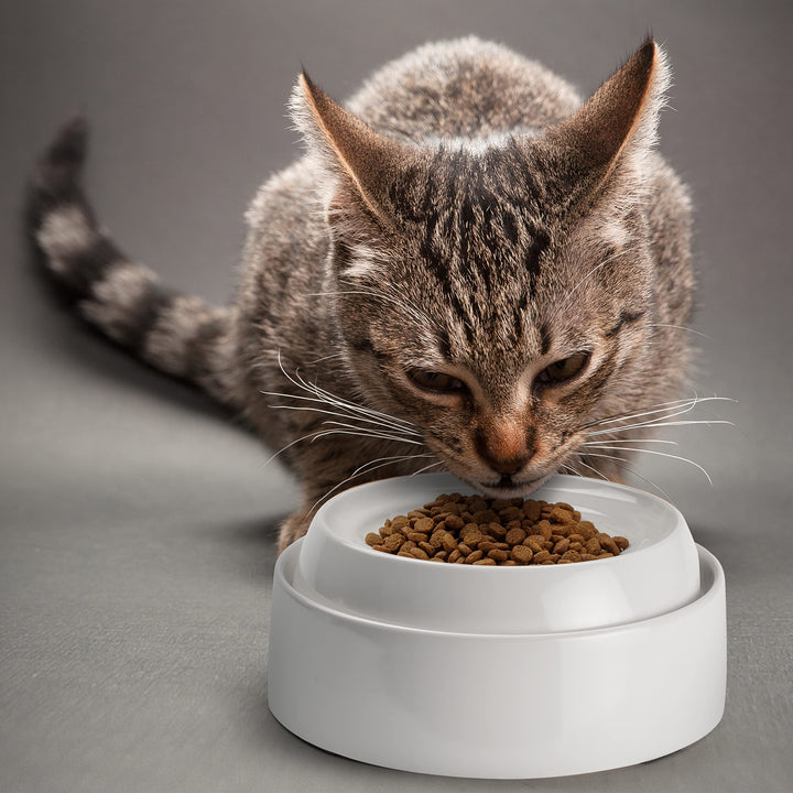 Cat Bowls, Whisker Friendly Cat Food Bowl for Indoor Cats, Reliefs Whisker Fatigue, Wide Pet Bowl, Non Slip Pet Feeding Bowls, Shallow Kitten Dish (Set of 2, Marshmallow)