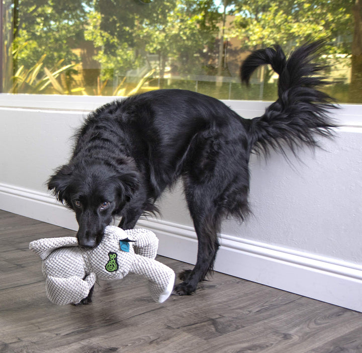 Checkers Elephant Squeaky Plush Dog Toy, Chew Guard Technology - Gray, Large