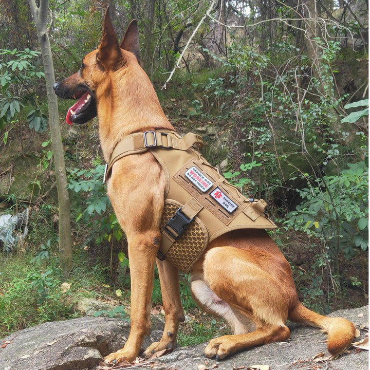 Service Dog in Training Vest, Service Dog Harness, Service Dog Vest for Large Dogs Breed, Large Tactical Dog Harness with Service Dog Patches