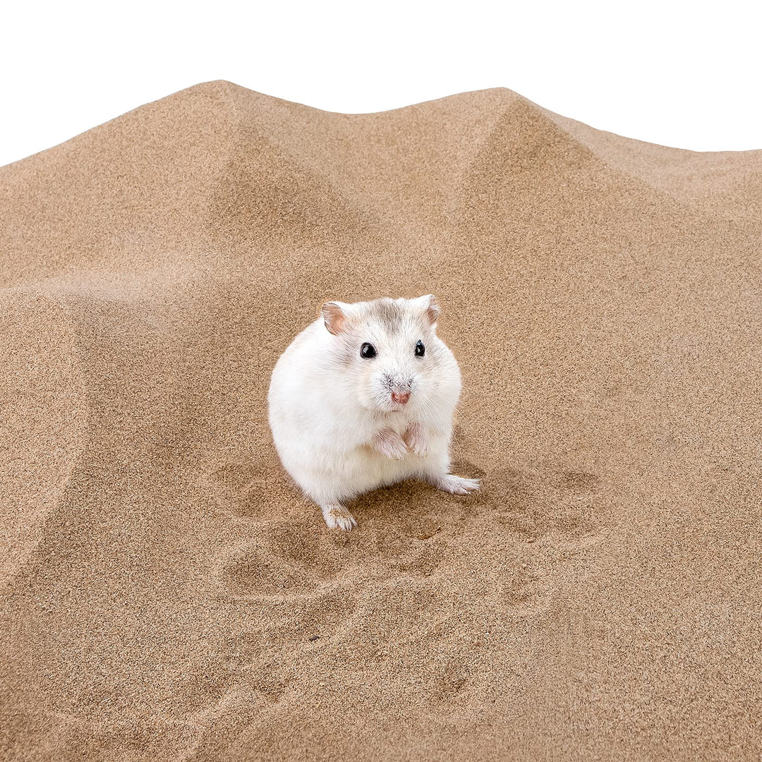 Hamster Desert Bath Sand | No-Dust Bath or Potty Litter Sand for Hamster Chinchillas Gerbil Mice Degu or Other Small Pets