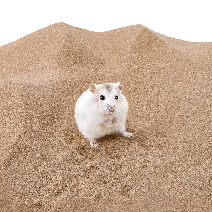 Hamster Desert Bath Sand | No-Dust Bath or Potty Litter Sand for Hamster Chinchillas Gerbil Mice Degu or Other Small Pets