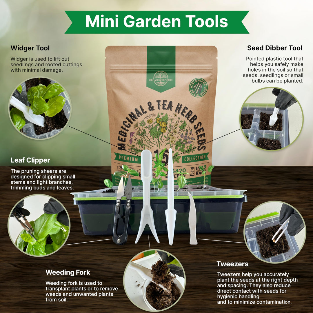 15 Medicinal & Tea Herb Seeds Variety Pack 6,420+ Non-GMO Heirloom Garden Seeds for Indoor & Outdoors, Including Anise, Borage, Cilantro, Chamomile, Dandelion, Rosemary Seeds