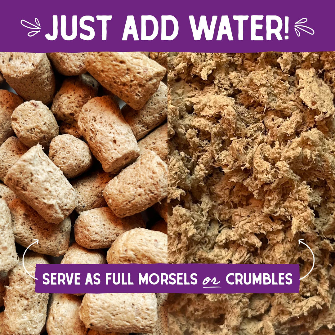Stella & Chewy's Freeze-Dried Raw Cat Dinner Morsels - Premium Chicken Recipe with 98% Cage-Free Meat & Organs - Natural Grain-Free Cat & Kitten Food - Made in USA - 8 oz