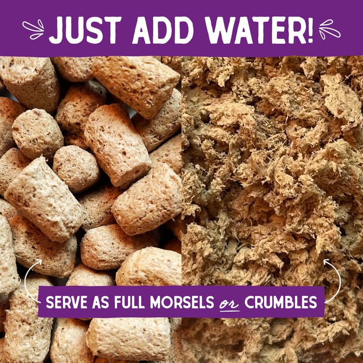 Stella & Chewy's Freeze-Dried Raw Cat Dinner Morsels - Premium Chicken Recipe with 98% Cage-Free Meat & Organs - Natural Grain-Free Cat & Kitten Food - Made in USA - 8 oz