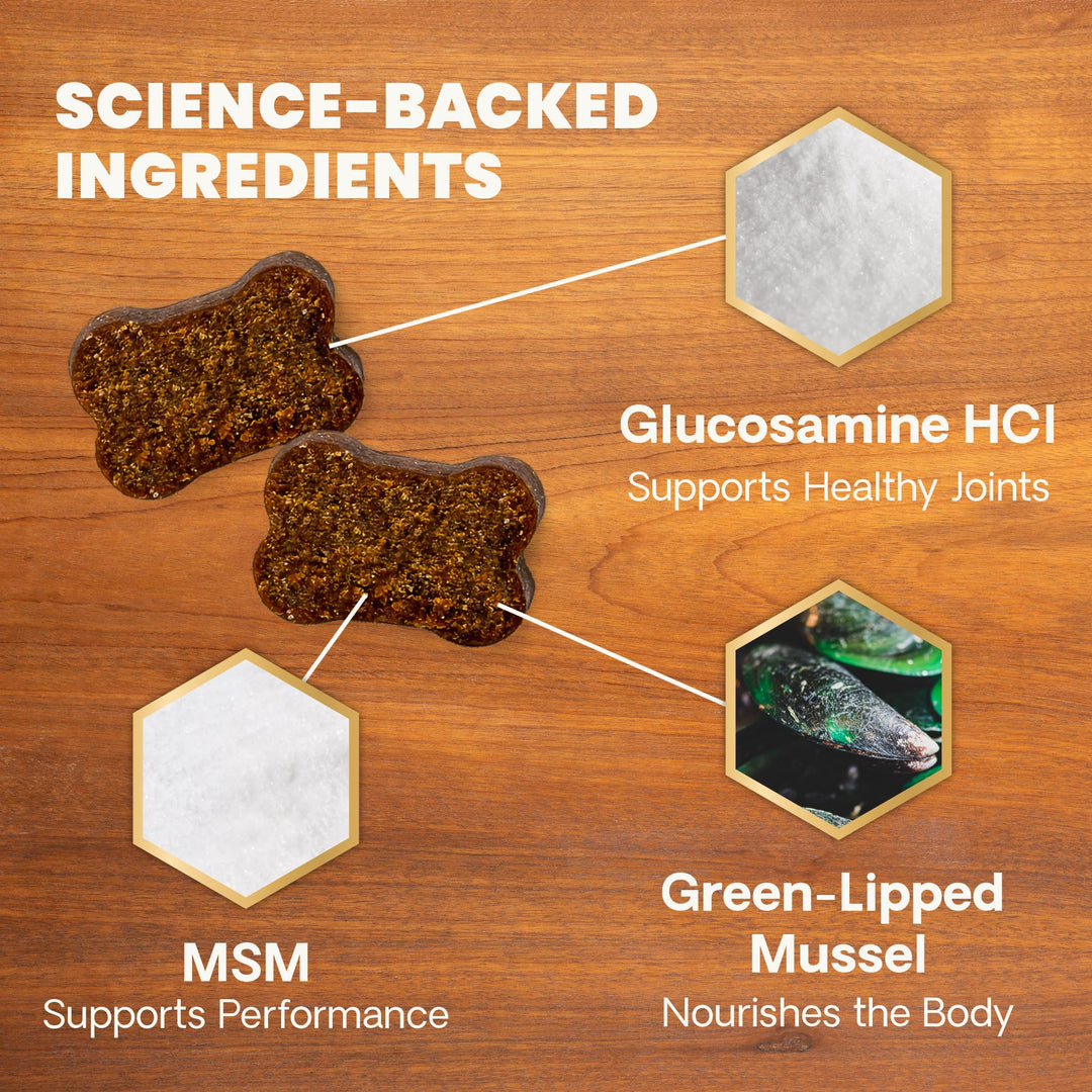 VetriScience GlycoFlex Healthy Hip & Joint Glucosamine Supplements for Dogs, with MSM & Green-Lipped Mussel, Soft Chews, Chicken, 120 Count - New Look