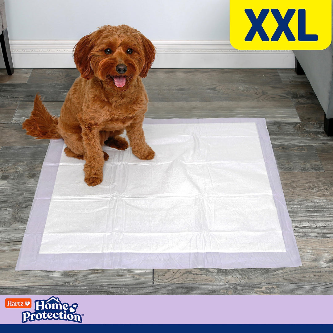 Home Protection Lavender Scented Dog Pads, XXL 80 Count, Super Absorbent & Won't Leak, Odor Eliminating