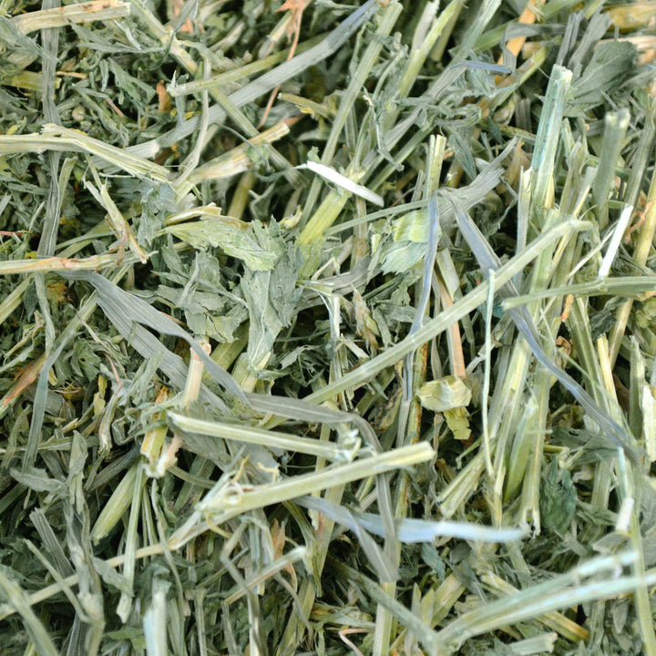 Animal Health Alfalfa Hay, For Rabbits, Guinea Pigs, And Small Pets, Grown In The USA, Hand-Selected And Hand-Sorted, 15 Ounce
