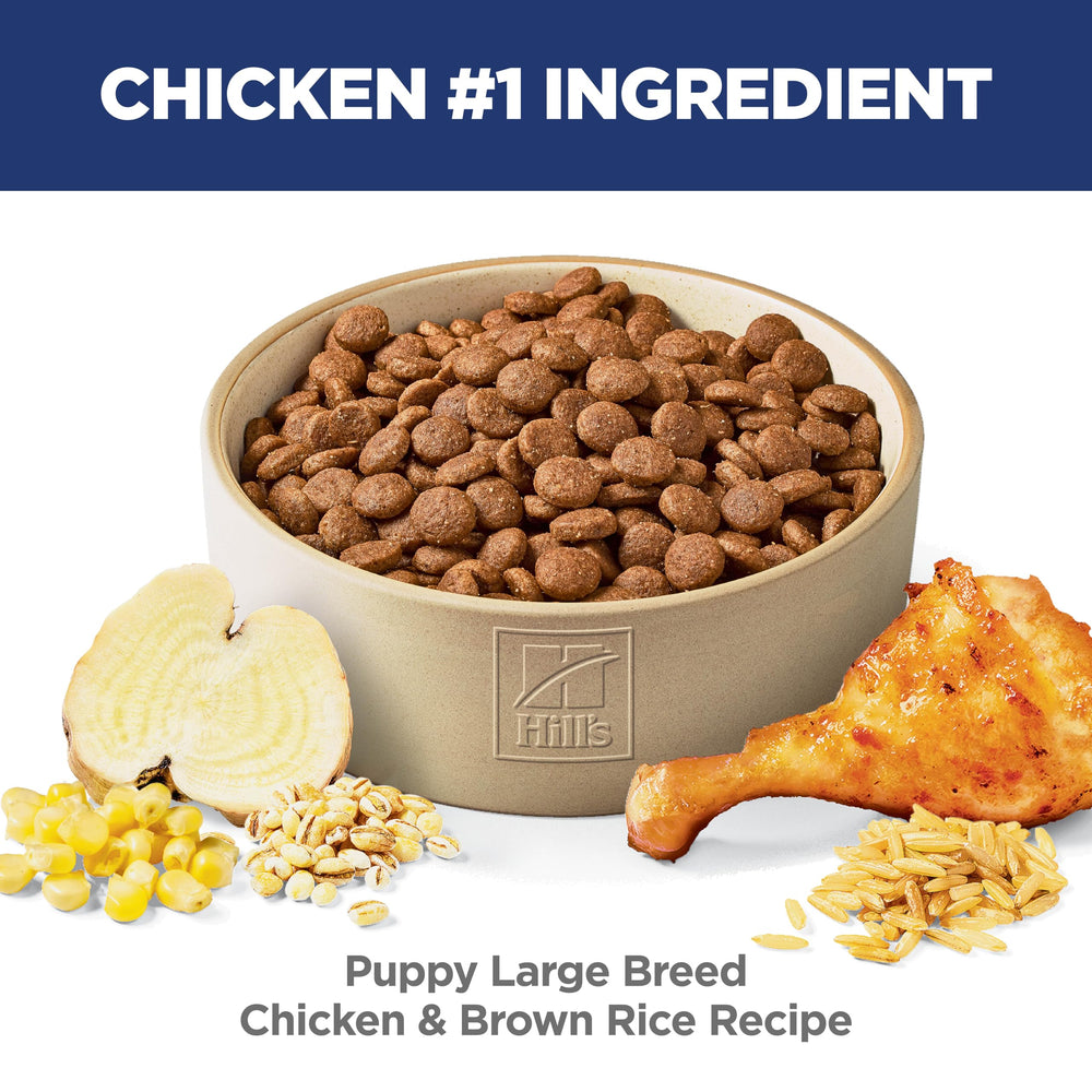 Puppy, Large Breed Puppy Premium Nutrition, Dry Dog Food, Chicken & Brown Rice, 15.5 lb Bag