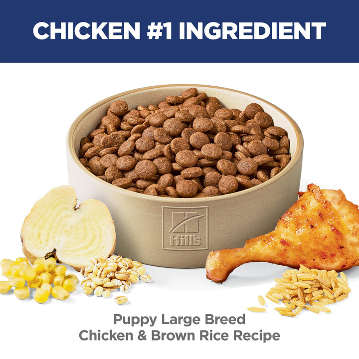 Hill's Science Diet Puppy, Large Breed Puppy Premium Nutrition, Dry Dog Food, Chicken & Brown Rice, 15.5 lb Bag