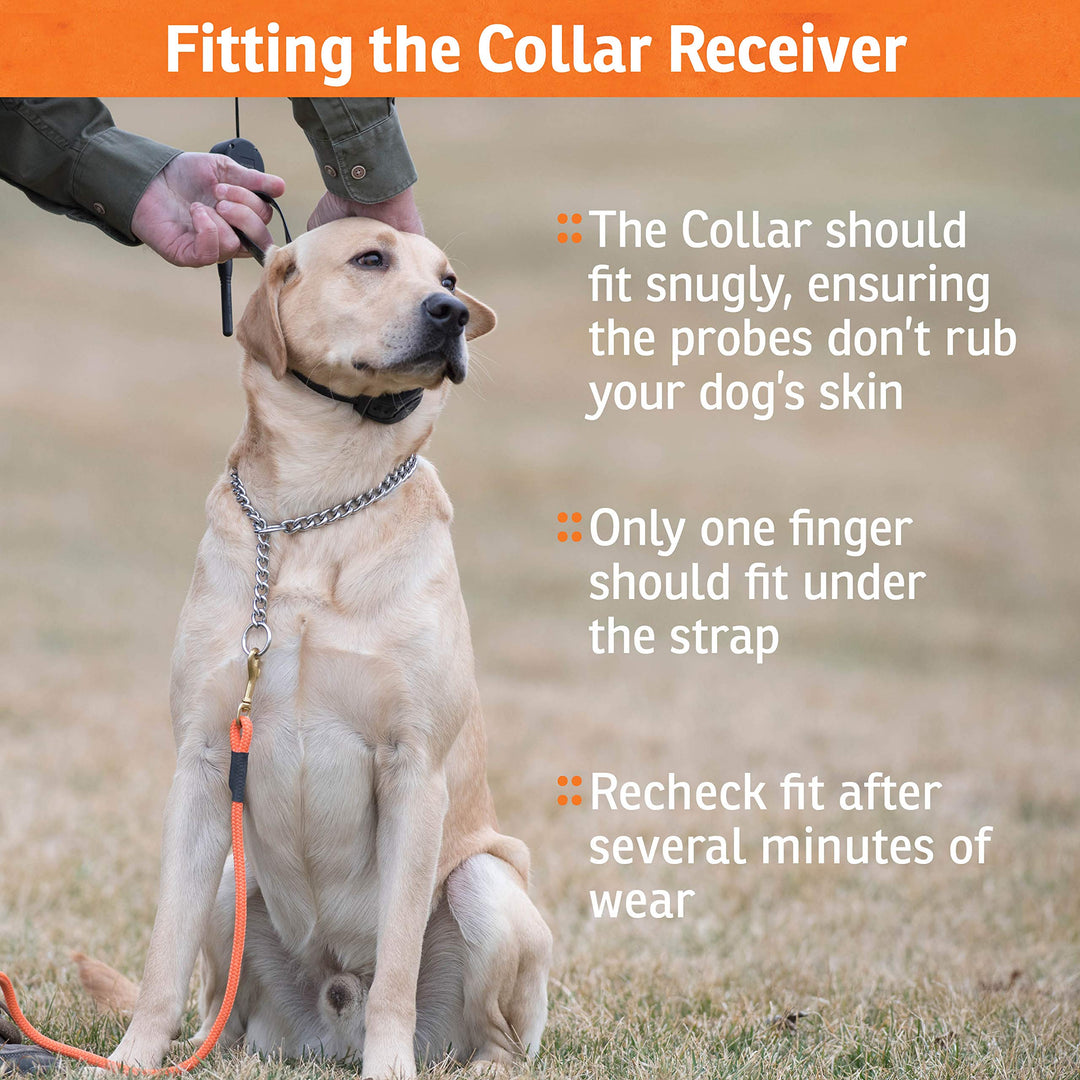 Brand Contain + Train Add-A-Dog Collar One Size