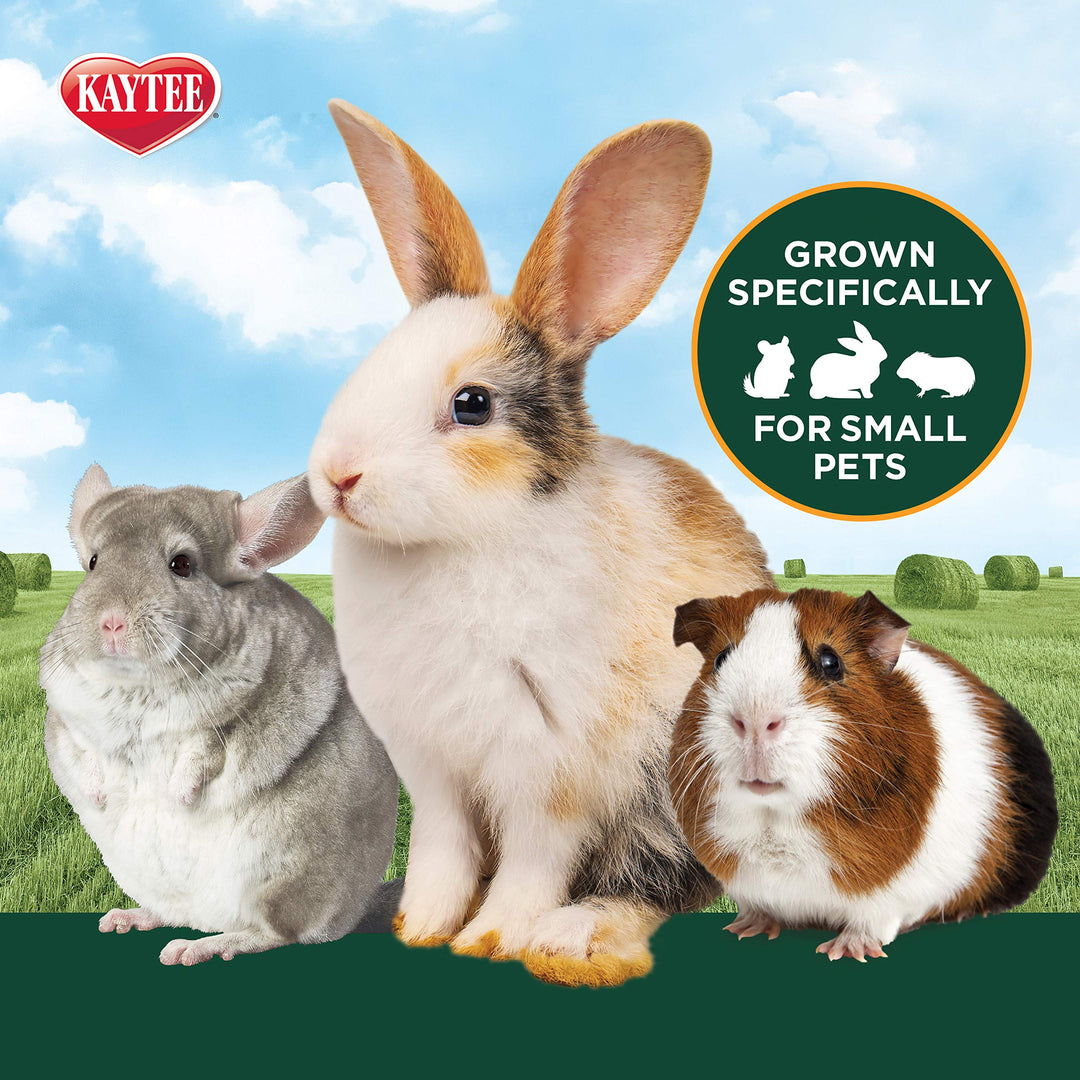 All Natural Timothy Hay Plus Marigolds for Guinea Pigs, Rabbits & Other Small Animals, 24 Ounce