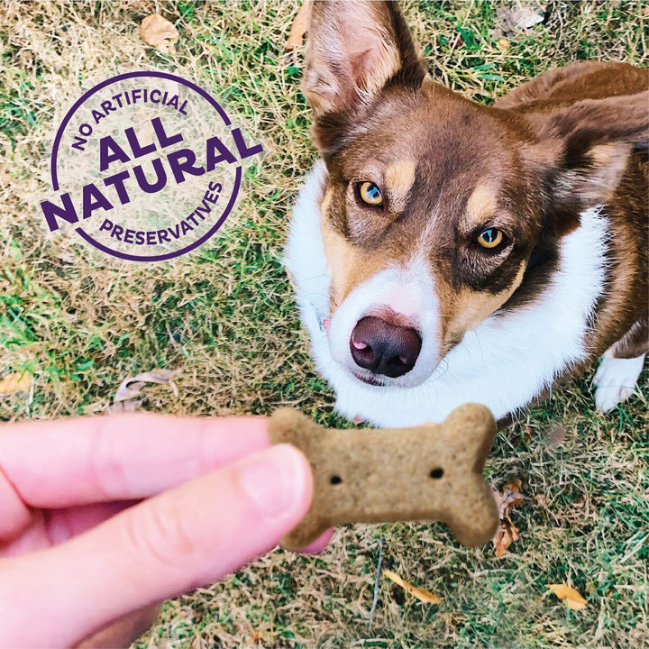 Wellness Original Mix Dog Biscuits, Natural, Training Treats, Four Flavors, Small Size, (20 Pound Box)