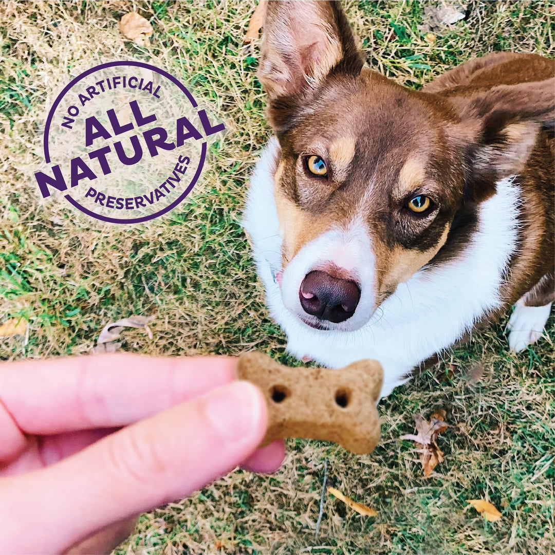 by Wellness Classic P-Nuttier Natural Dog Treats, Crunchy Oven-Baked Biscuits, Ideal for Training, Mini Size, 20 ounce bag,(Packaging may vary)