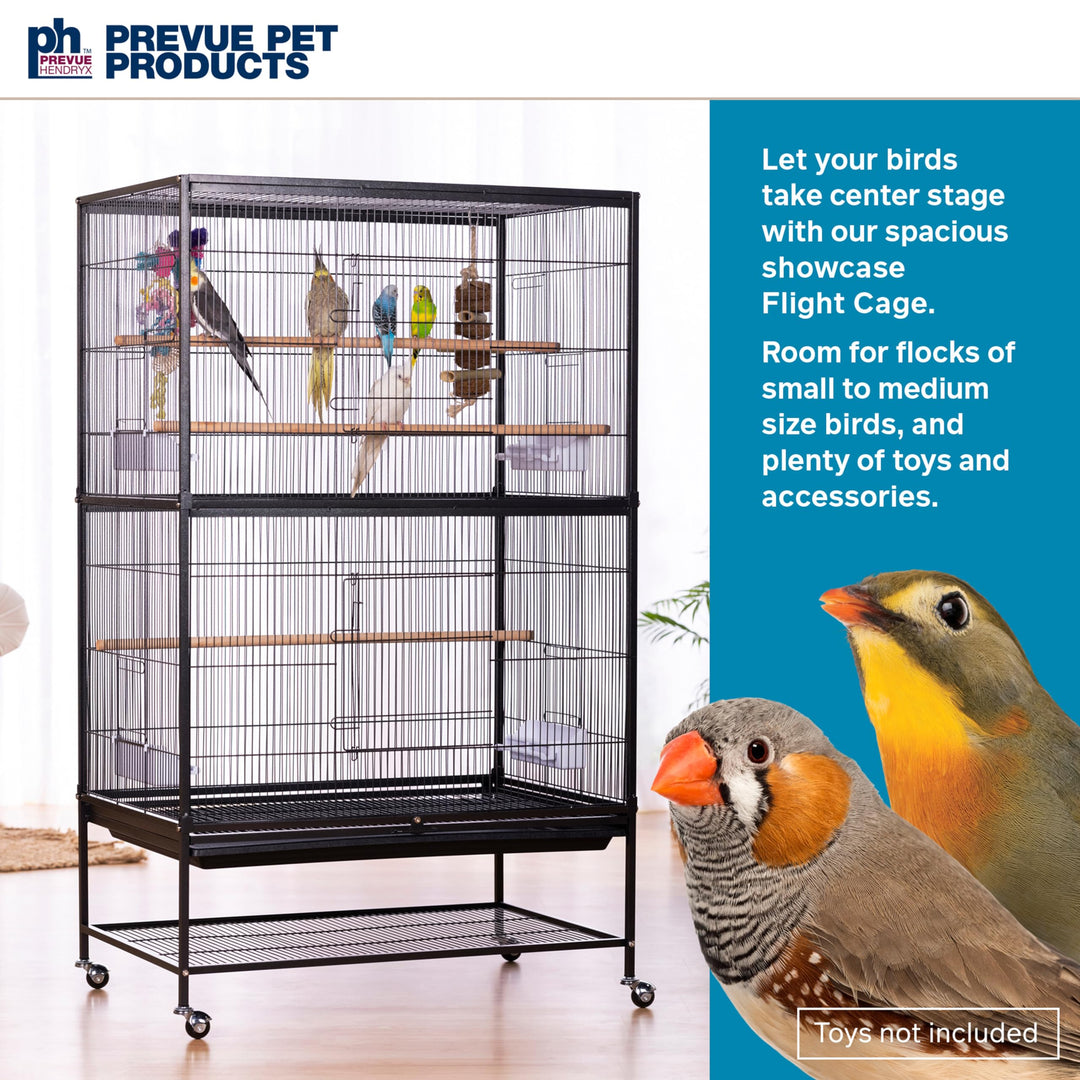 Prevue Pet Products Wrought Iron Flight Cage with Stand F040 Black Bird Cage, 31-Inch by 20-1/2-Inch by 53-Inch