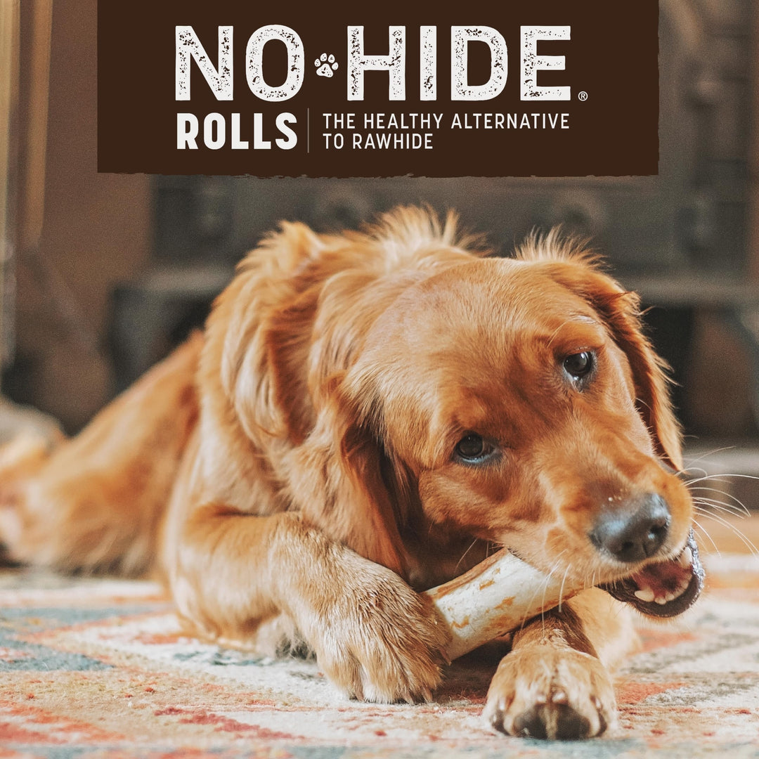 No Hide Medium Chicken Flavored Natural Rawhide Free Dog Chews Long Lasting Chew Sticks | Treats for Large Dogs | Great for Aggressive Chewers (1 Pack)