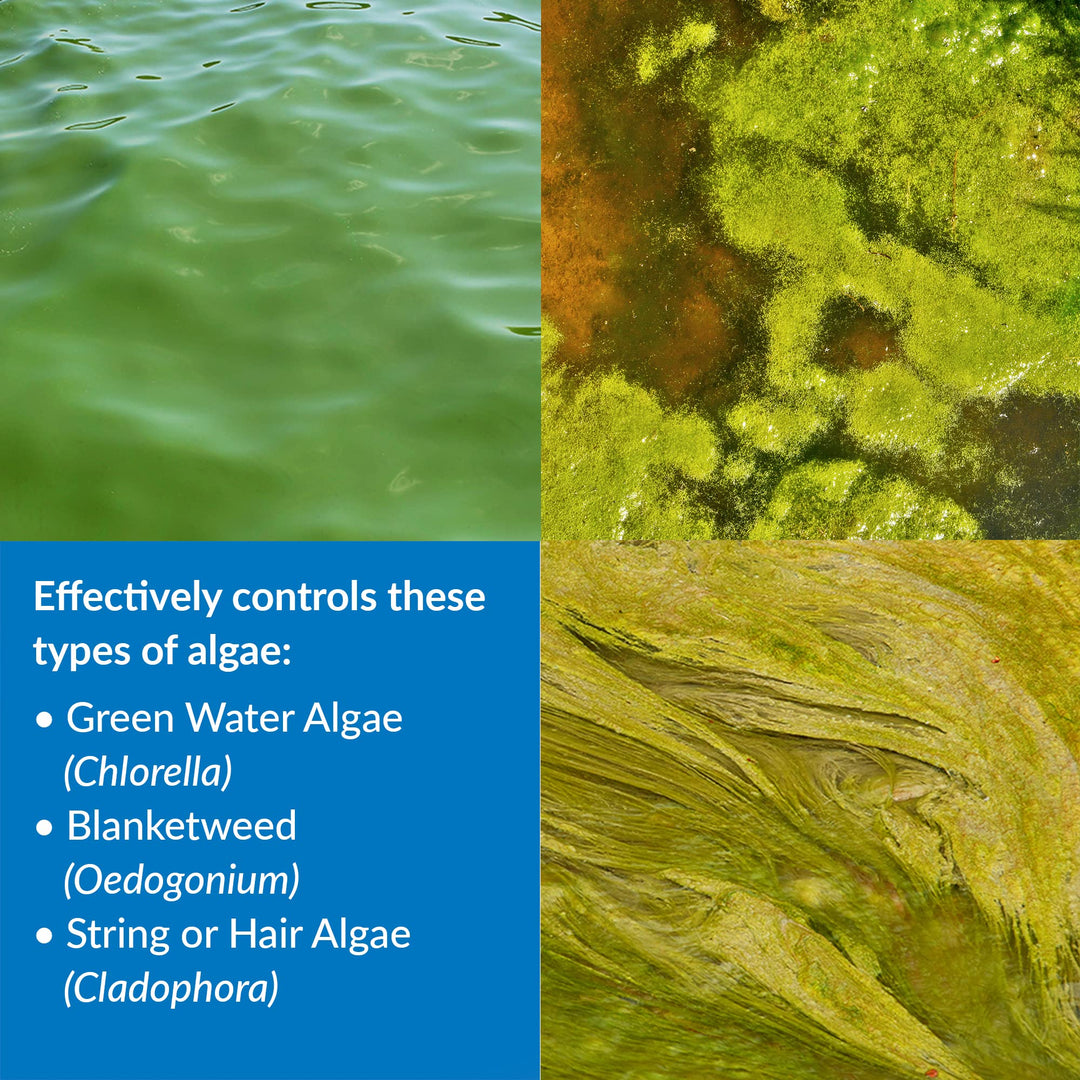 POND ALGAEFIX Algae Control 1-Gallon Bottle