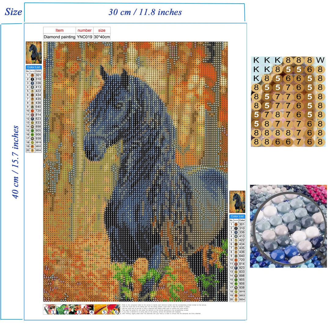Diamond Art Painting Horse- Full Drill Diamond Mosaic Painting Kits,5d Diamond Art,Gem Art for Adults Wall Home Decor-12x16 inch (Horse)