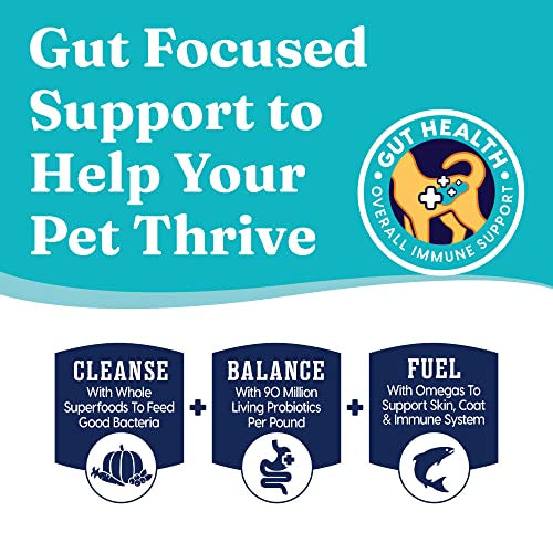 Wet Cat Food Shreds in Gravy - Canned Cat Food Made w/Real Tuna - Five Oceans Grain Free - 24ct/3oz Can