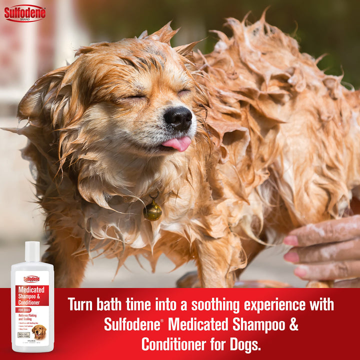 Medicated Shampoo & Conditioner for Dogs 12oz