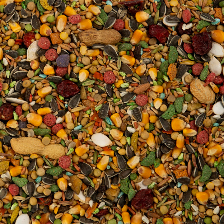 Advanced Nutrition Parrot, 4 Pounds, Seed, Grain And Vegetable Mix