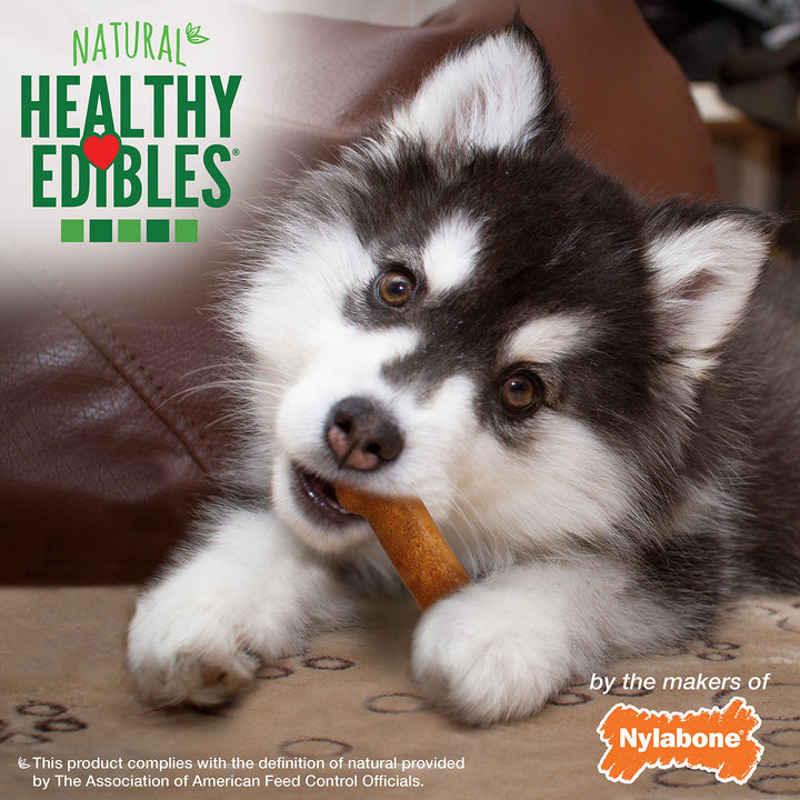 Healthy Edibles Natural Puppy Chews Long Lasting Treats for Puppies, Turkey & Sweet Potato Flavor, X-Small/Petite (4 Count)