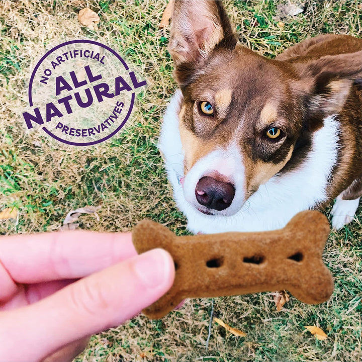 Wellness Original Mix Dog Biscuits, Natural, Training Treats, Four Flavors, Large Size, (3.5 Pound Bag)