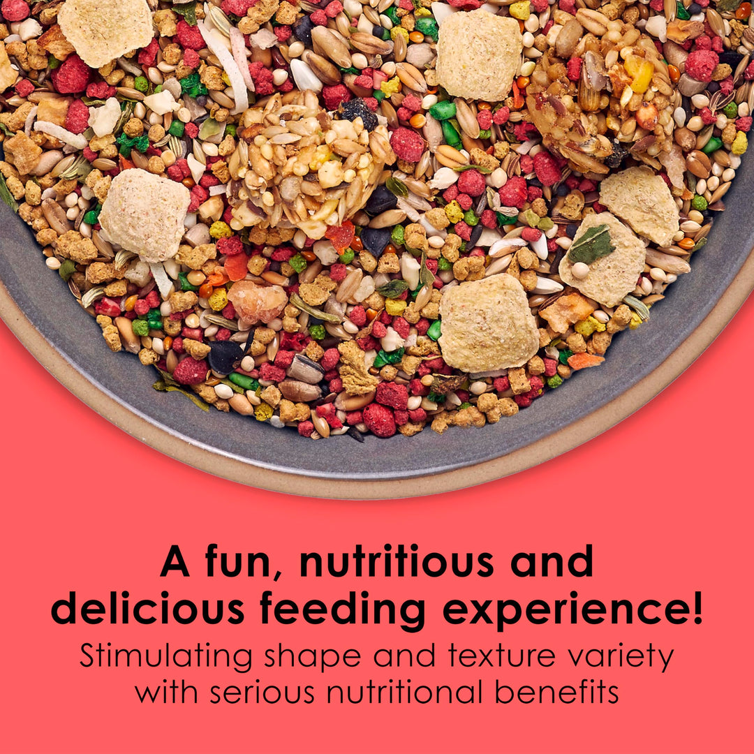 Fiesta Parakeet Food, Nutritious and Fun Blend, Supports Skin, Feather, Digestion, Brain and Heart Health, 2 pounds