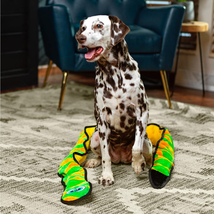 Durablez Tough Plush Squeaky Dog Toy, Snake, Green, XXL