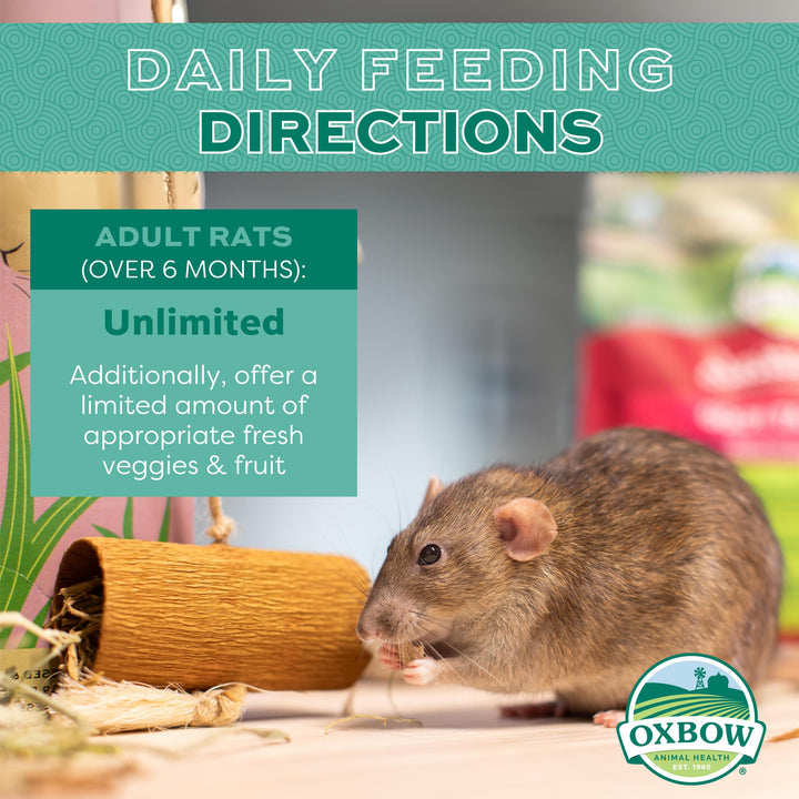 Essentials Adult Rat Food - All Natural Adult Rat Food - Veterinarian Recommended- Made in the USA- Rich in Natural Vitamins & Minerals- No Artificial Ingredients- 3 lb.