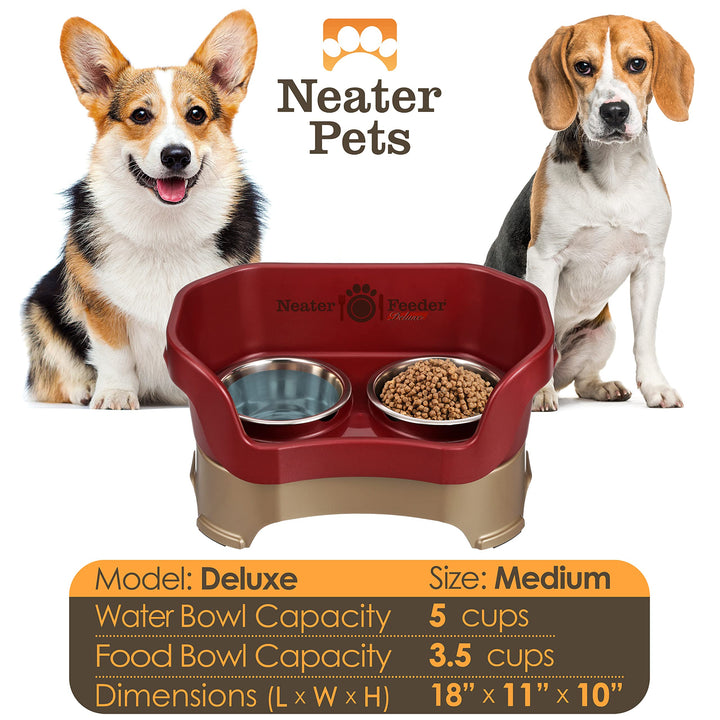 Neater Feeder Deluxe Mess Proof Dog Bowls Elevated Medium Sized Dog Breed – Made in USA – No Spill Raised Dog Food Bowl Stand – Stainless Steel Food and Water Bowl Set, Pet Feeding Station, Cranberry