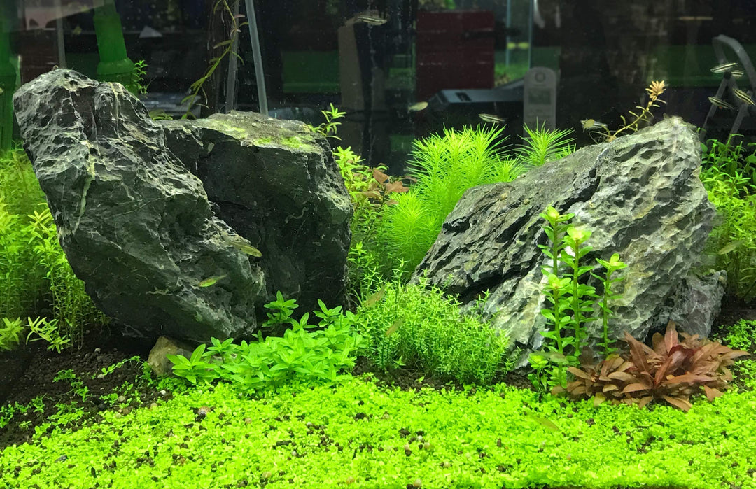 Flourish Tabs Growth Supplement - Aquatic Plant Stimulant 10 ct
