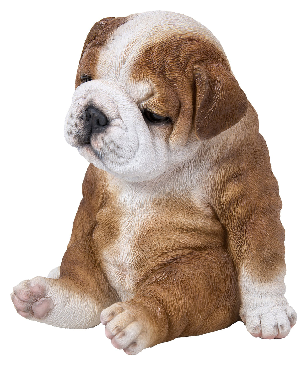 Sitting Sleepy Bulldog Puppy