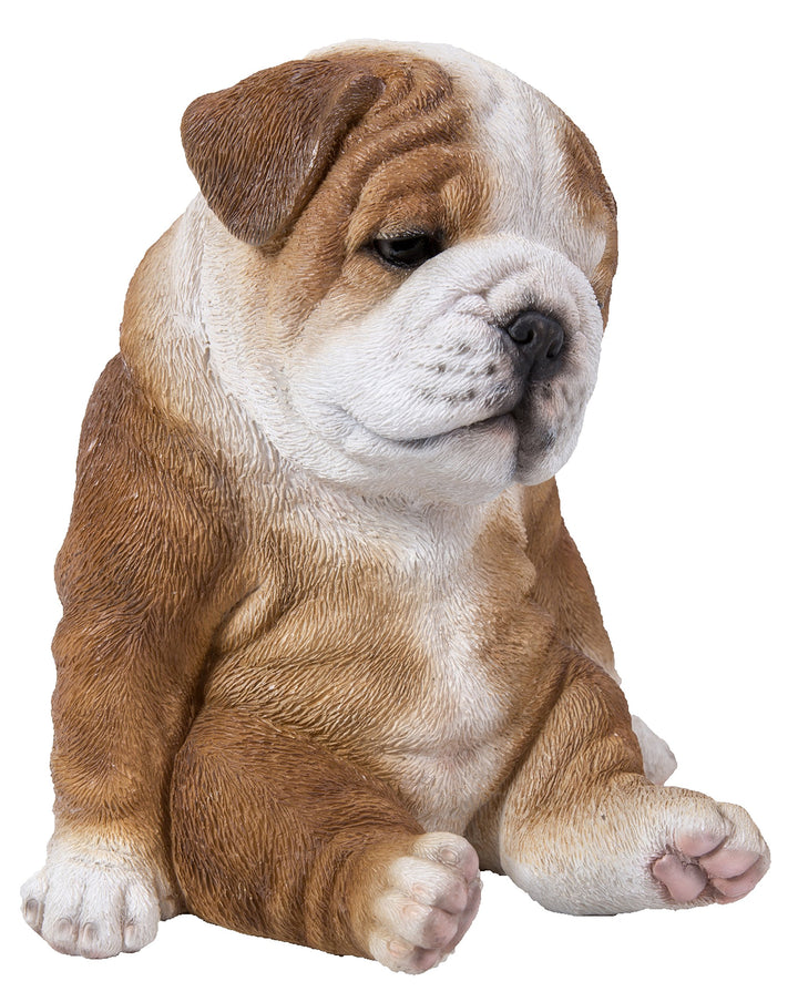 Sitting Sleepy Bulldog Puppy