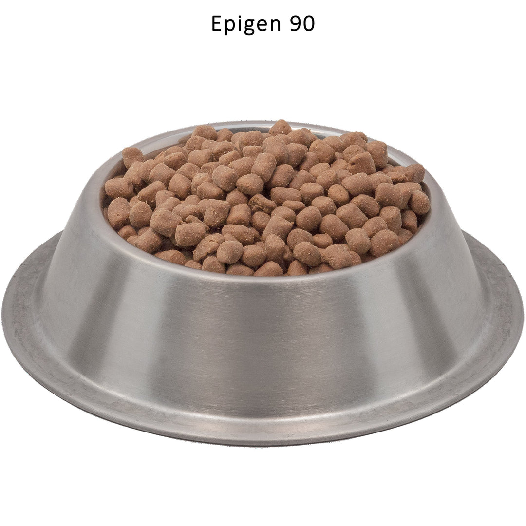 Epigen 90 Starch Free Canine Feline Dry Formula Dog Cat Food (WDCFE905), Chicken, 5pounds