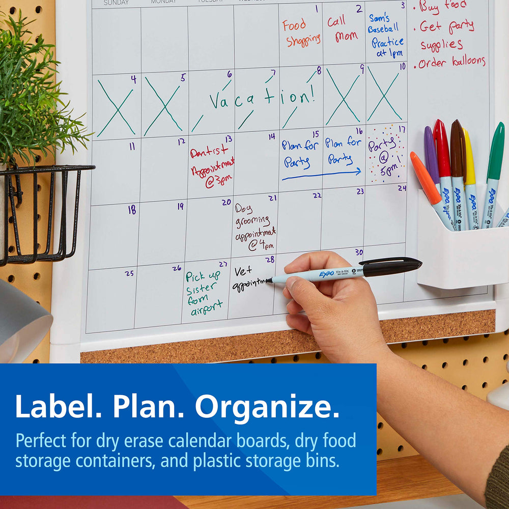 Visa Vis Wet Erase Markers, Fine Point, Black, 12-Pack, Ideal for Classroom and Homeschool Use