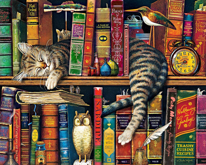 Paint by Numbers for Adults, DIY Oil Painting Charles Wysocki Adult Paint by Numbers Kits on Canvas Wall Decor, Frederick The Literate Painting Kits for Kids, Cats & Books - 16x20