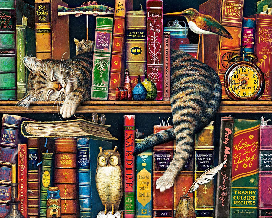 Paint by Numbers for Adults, DIY Oil Painting Charles Wysocki Adult Paint by Numbers Kits on Canvas Wall Decor, Frederick The Literate Painting Kits for Kids, Cats & Books - 16x20
