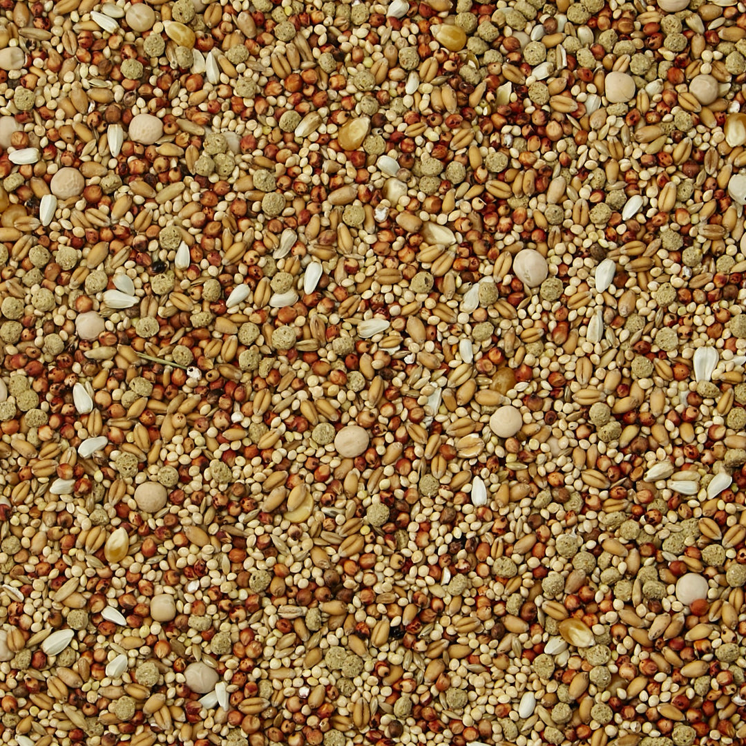 Supreme Dove Food 5 pounds