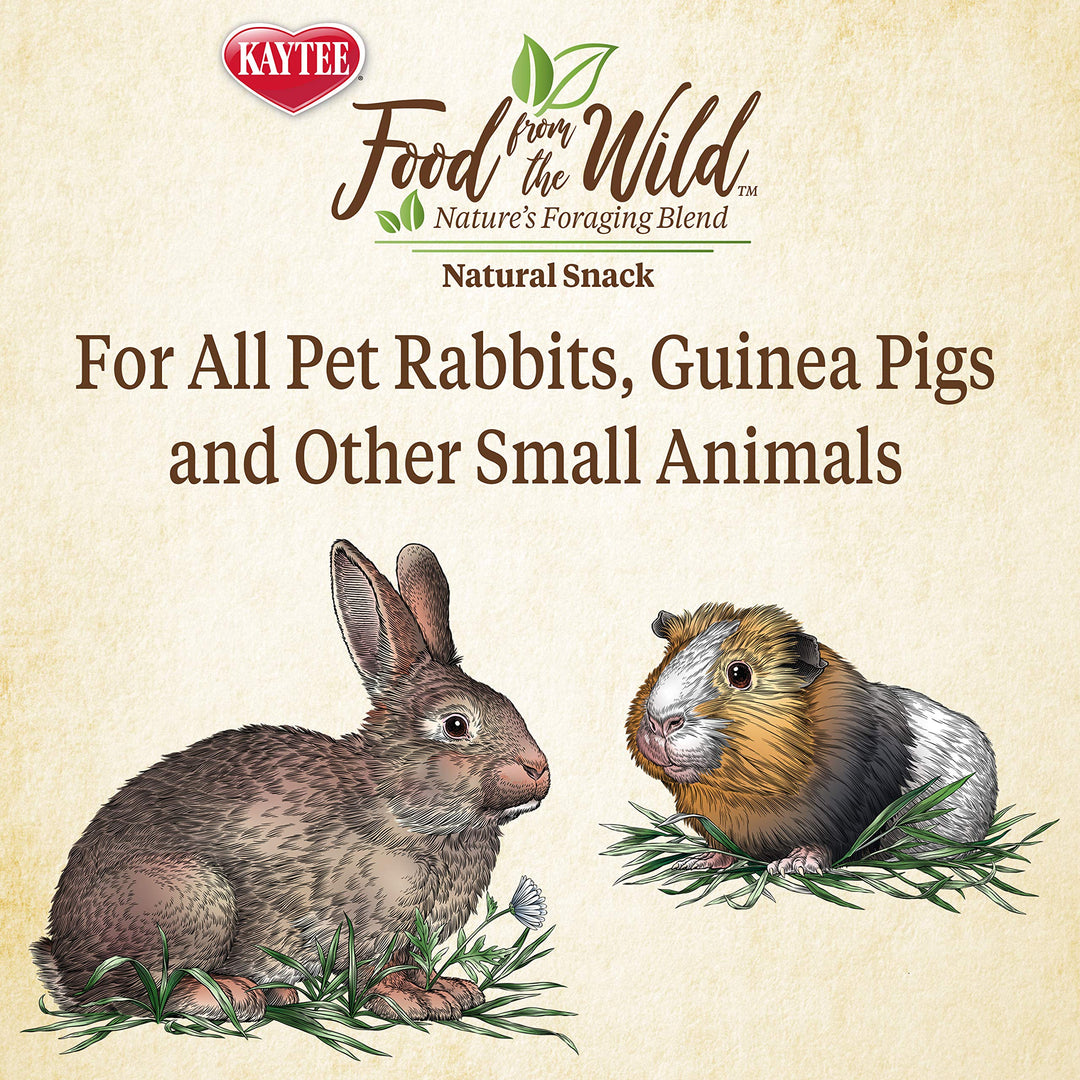 Food from The Wild Natural Snack for Pet Rabbits, Guinea Pigs And Other Small Animals, 1 Ounce