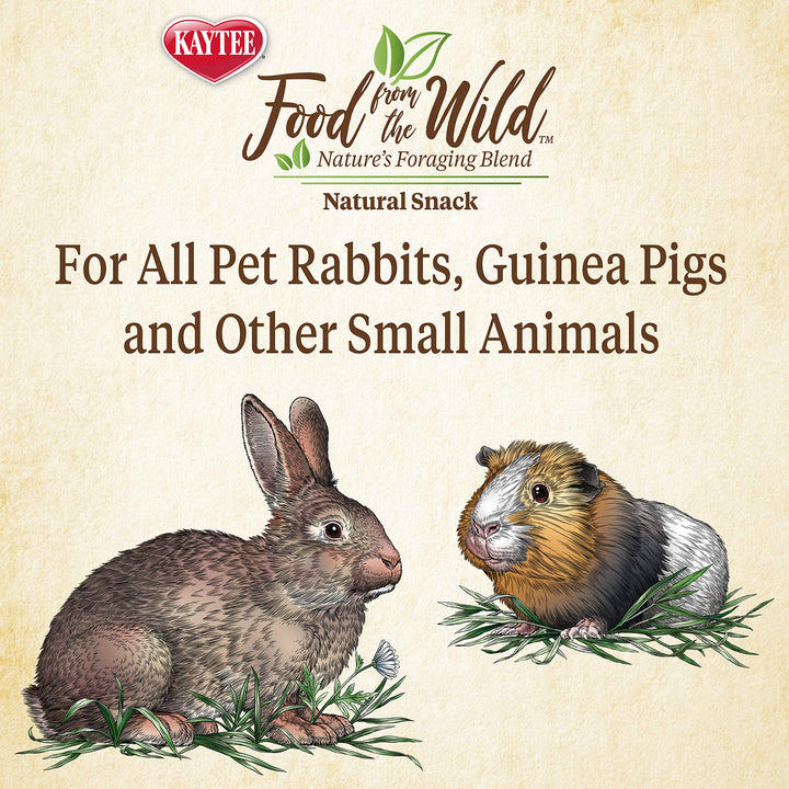 Food from The Wild Natural Snack for Pet Rabbits, Guinea Pigs And Other Small Animals, 1 Ounce